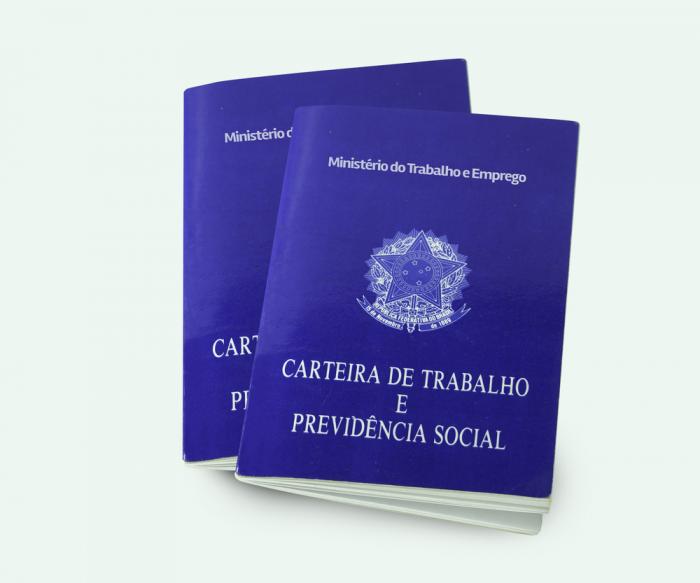 CTPS – Carteira de Trabalho e Previdência Social – Blog do Luiz Ladeira