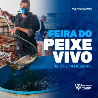 Feira do Peixe Vivo ocorre na próxima semana, no Largo Carlos Fetter
