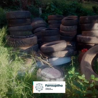 Mais de uma centena de pneus inservíveis são recolhidos durante ação contra a dengue em Farroupilha Mais de uma centena de pneus inservíveis são recolhidos durante ação contra a dengue em Farroupilha